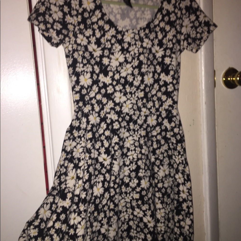 Daisy Skater Dress
